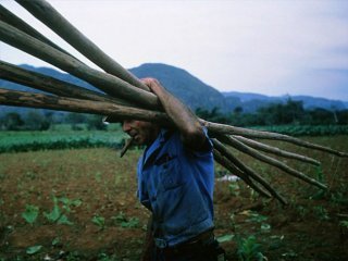 campesino (1)